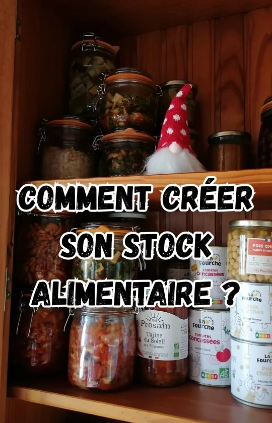 COMMENT CRÉER SON STOCK ALIMENTAIRE POUR 1 MOIS (même en appartement!)
En collaboration commerciale avec @lafourchebio, l’épicerie bio en ligne qui vous permet de faire vos courses entre -20 et -50 % par rapport aux magasins bio !
Mon code LASALADEATOUT vous fait passer l’adhésion annuelle de 59€ à 39€.
Et jusqu’au 11 mai, ajoutez le code PRINTEMPS2025 à votre 1er panier de courses et gagnez encore 10€ supplémentaires !
Vous avez 1 mois d’essai sans engagement mais entrez mon code dès votre inscription quitte à ne pas l’utiliser !
Pourquoi faire un stock :
Pour parer à toute circonstance qui vous empêcherait de faire des courses pdt qq jours, jusqu’à 1 mois :
crise sanitaire, sociale (grèves), pénuries, pb climatique (coupure élec, problème d’eau), pb financier ponctuel, pb de santé qui vous empêcherait de sortir…
Il n’y a que des bonnes raisons d’avoir un peu de stock à la maison !
Dans ce live on a parlé de :
- l’aspect psychologique (on ne craint pas l’apocalypse) 
- la question de l’eau
- stocker de la nourriture qu’on a l’habitude de manger, simple et efficace
- avoir un stockage adapté
- avoir un stock vivant
- ne pas oublier les légumes
- ne pas oublier les produits d’hygiène et santé
- ne pas oublier les animaux
- cuisiner sans électricité
Je vous ai aussi montré que je constitue mon stock en plusieurs mois, donc ne vous dites pas qu’il faut lâcher des 1000 et des 100 pour avoir un stock.
N’hésitez pas si vous avez des questions pour celles qui regarderont en replay !
PS : Je vais ouvrir une story à la une « Stock » et je vous mettrai dedans ma liste de produits, mais chacune adaptera à sa sauce !