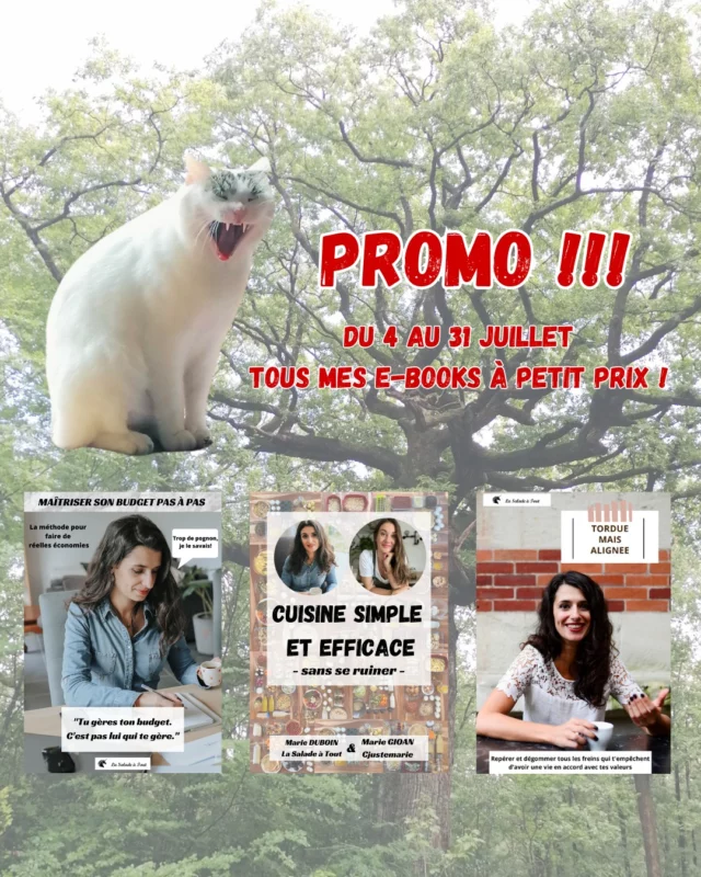 💪💵Reprendre ses finances en main à la rentrée, ça commence maintenant !💵💪

Comme tous les étés, je vous propose mes e-books budget en promo, cette année du 4 au 31 juillet :
(les liens sont dans ma bio)

👉 « Maîtriser son budget pas à pas » est à seulement 10€ pour 121 pages de conseils ultra-pratiques et applicables maintenant ! Levez les freins qui vous empêchent de vous poser sur votre budget, apprenez concrètement à construire votre budget et à ne plus avoir de mauvaises surprises, définissez vos objectifs et épargnez pour vos projets, puis gardez toutes ces bonnes habitudes pour toujours !

👉 « Cuisine simple et efficace sans se ruiner », à 10€ également, co-créé avec @cjustemarie dans le but d’alléger votre charge mentale et de vous faire faire de grosses économies sur votre budget alimentaire !

👉 Le « Pack spécial budget » comprenant les 2 e-books précédents à 20€ au lieu de 26 !

👉 « Tordue mais alignée !», ou comment vivre aligné dans un monde tordu, mon 1er e-book et toujours cher à mon coeur ! Il parle de comment ne pas désespérer et incarner ses valeurs (toujours d’actualité!), et il est à 7€ pendant la durée de la promo !

😱 Plusieurs milliers (!!!) de personnes m’ont déjà fait confiance en achetant mes e-books, merci pour ça ! D’ailleurs si vous passez par là, n’hésitez pas à vous manifester !
❤️J’y mets tout mon coeur et toutes mes compétences pour vous offrir le max de valeur à moindre prix, car c’est ma vision pour mon business depuis le début !

Il n’y aura pas d’autre promo avant probablement l’été prochain, donc même si vous ne comptez vous y mettre qu’à la rentrée, je vous conseille de sauter le pas maintenant !

⚠️Info pratique : téléchargez le ou les e-book(s) dès l’achat sur la page d’achat car aucun e-mail ne vous sera envoyé avec le lien. En cas de problème bien sûr écrivez-moi et je vous le(s) renverrai !

Bel été à vous ! ☀️☀️☀️

Marie Salade